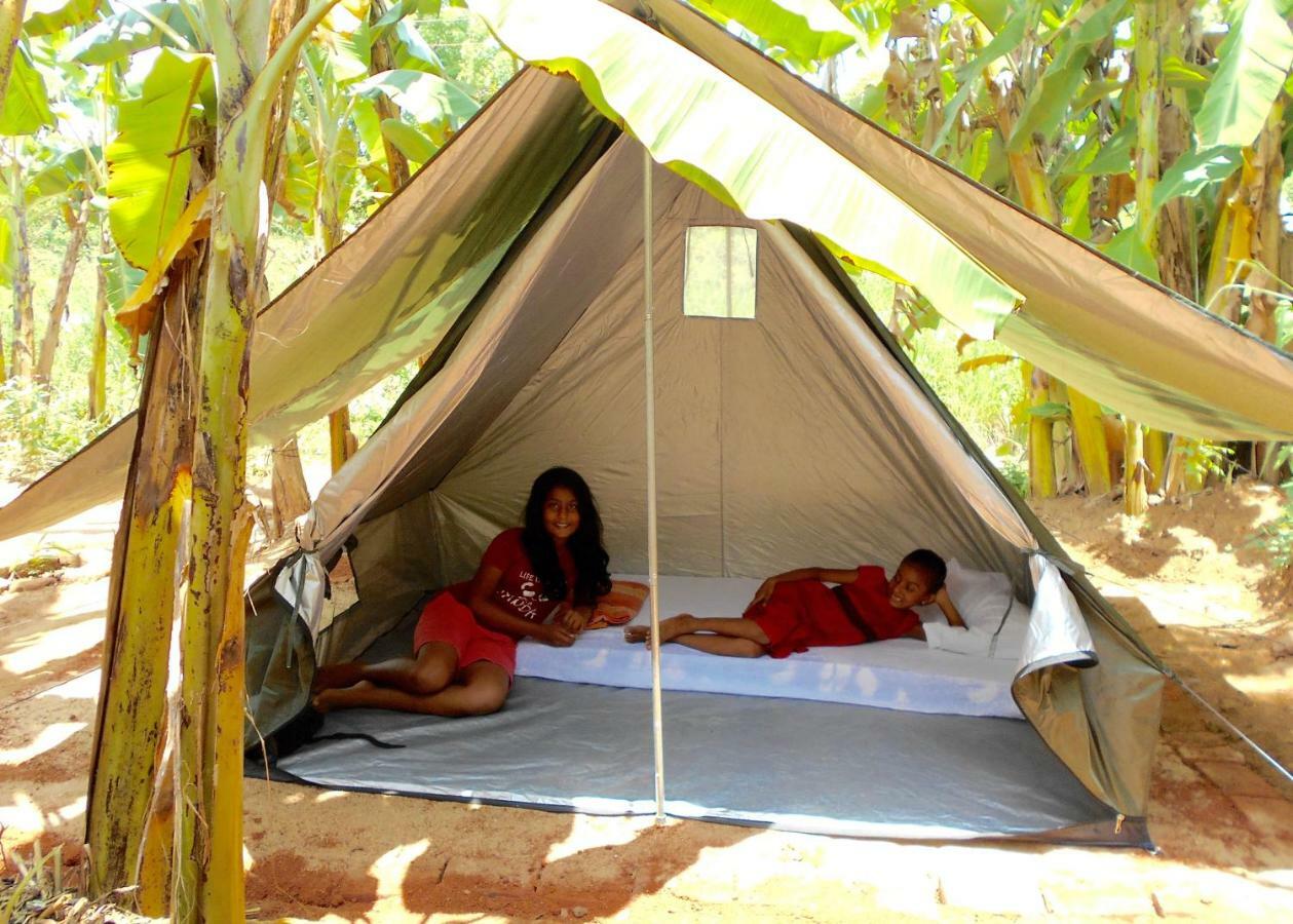 Homestay Camping 阿努拉德普勒 外观 照片